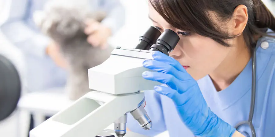 The Role of Microscopes in Modern Medicine and Research