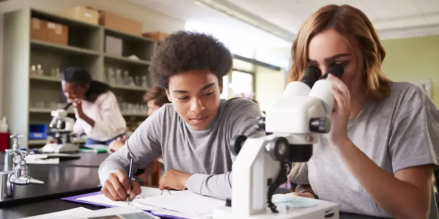 Digital Microscopes vs Traditional: Which One Is Better?