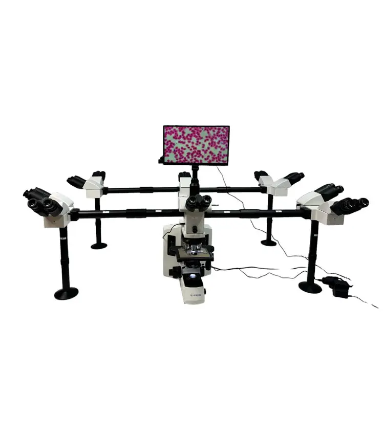 ph-999-superior-deca-head-microscope